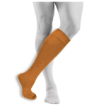 Ecosox